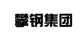 南鋼合作客戶-攀鋼 南鋼合作客戶-攀鋼
